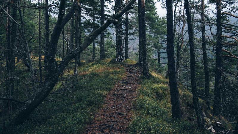 퇴근 15분 뚝딱 관련 이미지 3