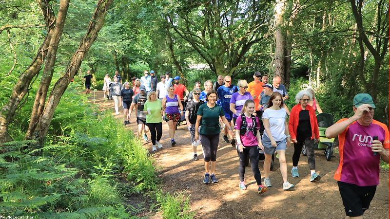 초보자도 실패 없는 관련 이미지 2