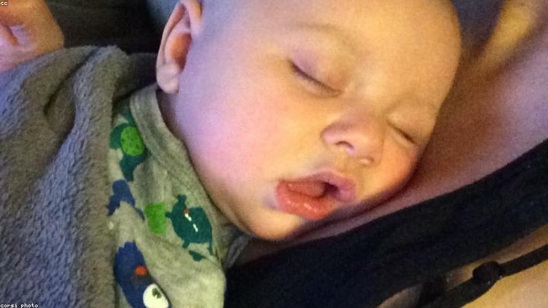 실패 없는 아기 관련 이미지 2