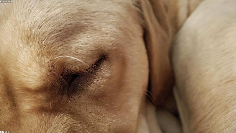 실패 없는 아기 관련 이미지 3