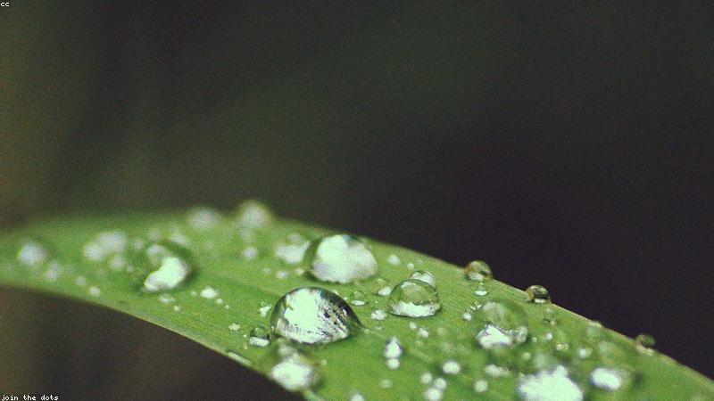 close up of core plank exercise indoor