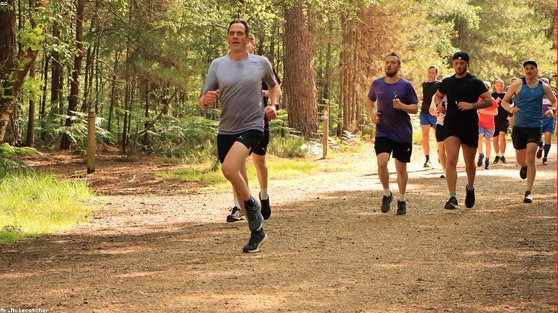 건강한 샐러드와 단백질 위주의 다이어트 식단이 예쁘게 플레이팅 된 사진