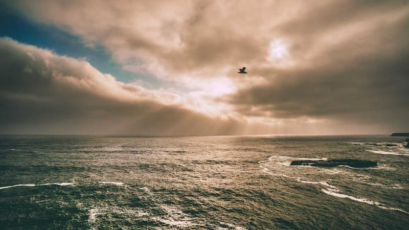 초보자도 100 성공하는 관련 이미지 2