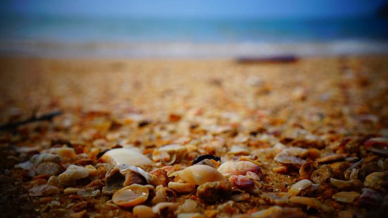 바쁜 일상을 위한 관련 이미지 3