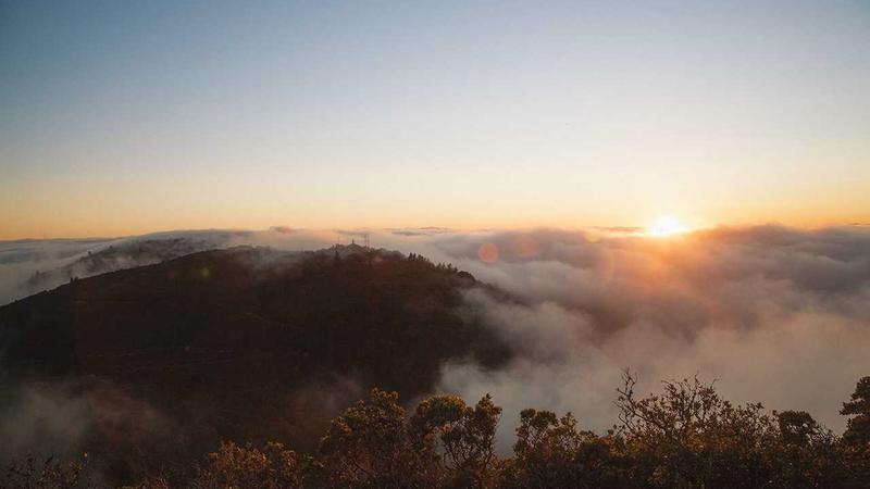 출근 필수 확인 관련 이미지 2