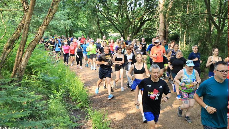 당뇨 식단 혈당 관련 이미지 3