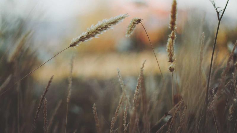 혈당 잡는 기적의 관련 이미지 2