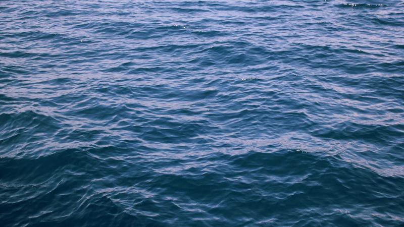 혈당 현실적이고 맛있는 관련 이미지 3