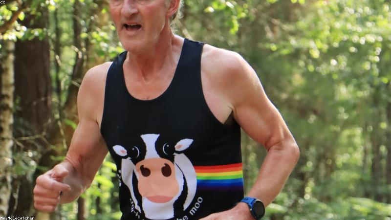 신선한 채소, 닭가슴살, 통곡물 위주로 정갈하게 차려진 건강한 다이어트 식단 사진