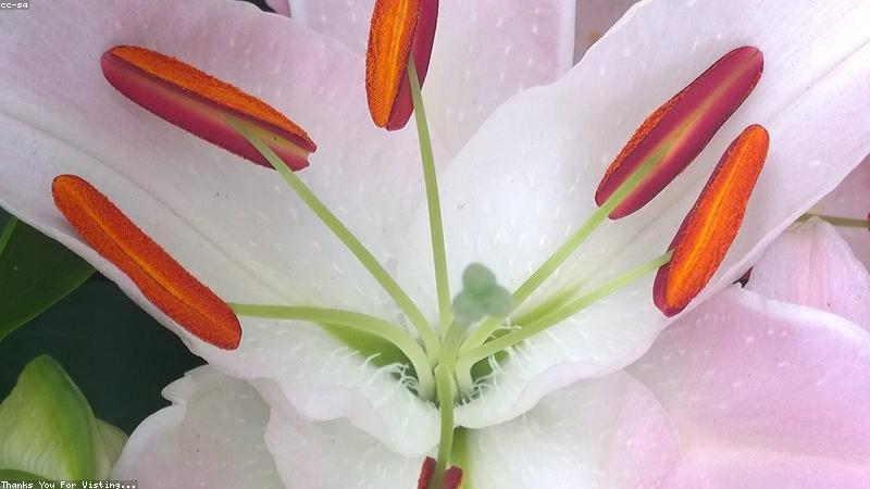 이사 필수 상황별 관련 이미지 2