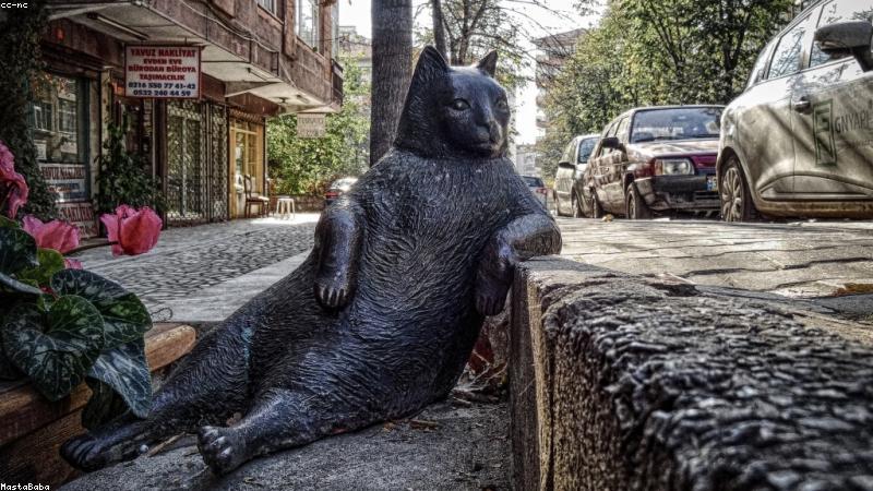 이사 필수 상황별 관련 이미지 3