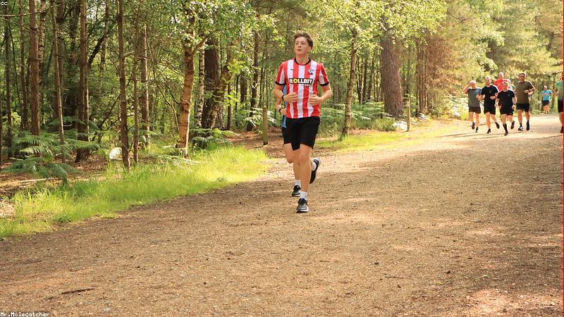 인기 오메가3 브랜드 3종의 패키지와 캡슐 크기를 나란히 비교해 놓은 직관적인 사진