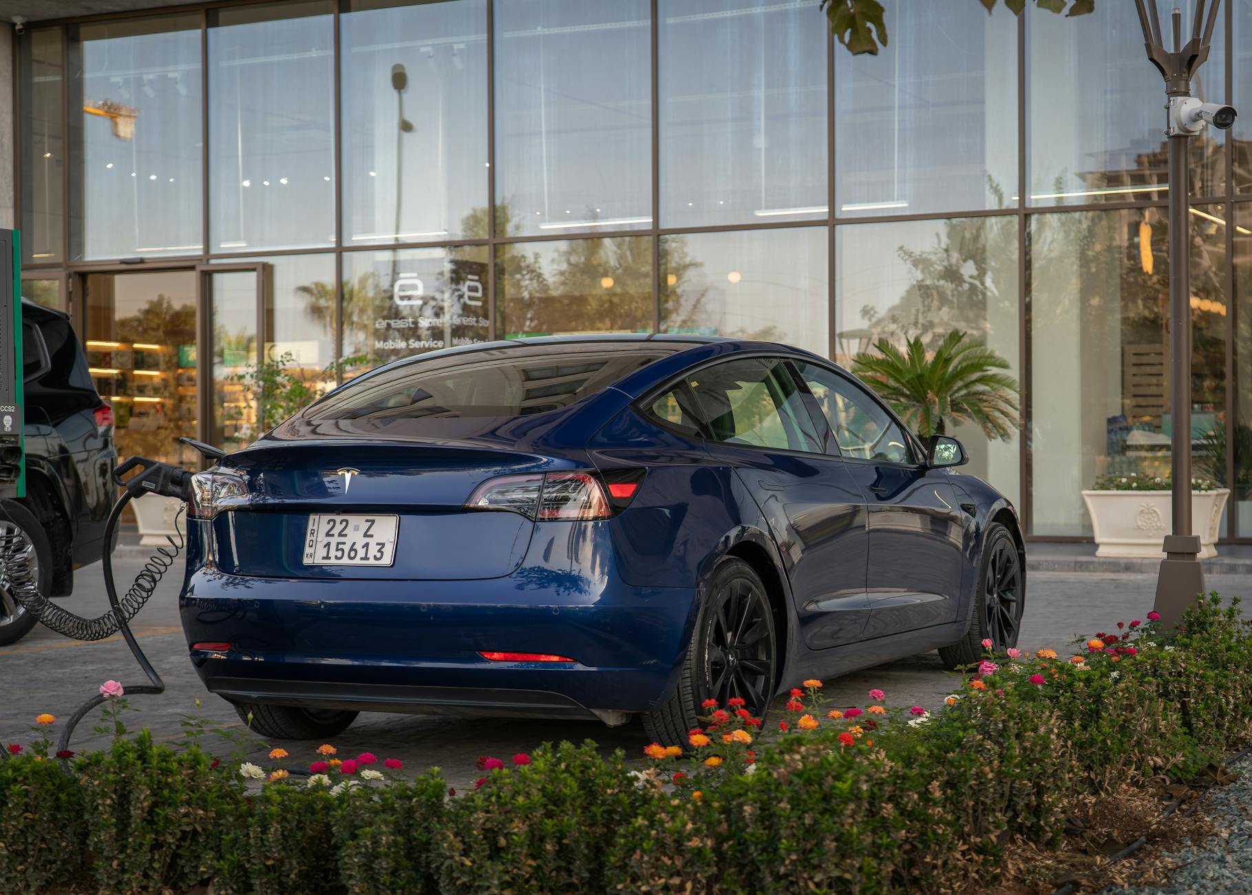 Blue Tesla Model 3 charging at a station surrounded by flowers in a sunny setting.