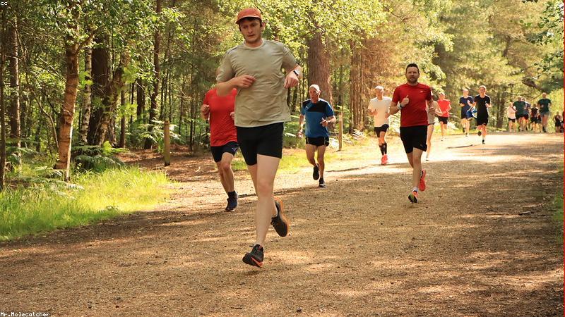 올바른 플랭크 자세를 보여주는 해부학적 일러스트, 엉덩이와 허리의 일직선 강조