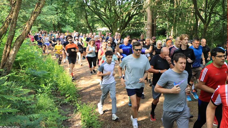 데드버그 자세와 할로우 바디 홀드 자세를 비교하는 이미지