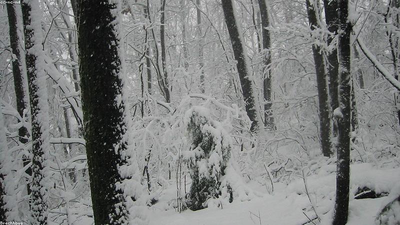 a person looking thoughtfully at a digital tablet with healthy food nearby