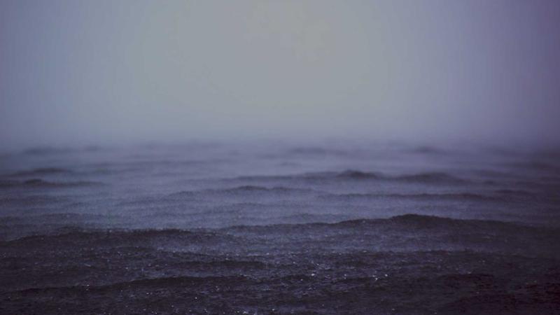 신선한 채소와 단백질이 담긴 다이어트 식판과 그 옆에 놓인 파스텔 톤의 덤벨