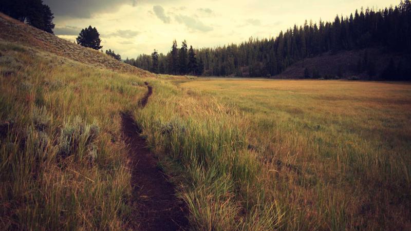 다양한 종류의 교통카드(티머니, 신용카드, 기후동행카드)가 비교되는 일러스트