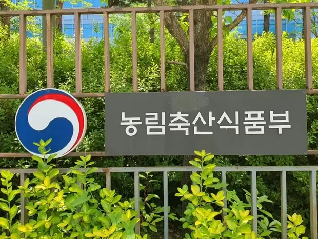 골 때리는 그녀들 G리그 인터리그 경기 SBS 2026 모습